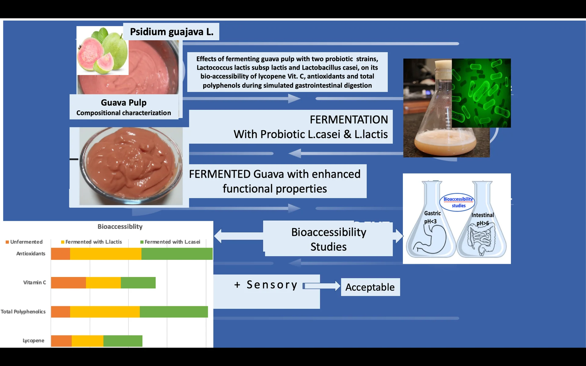 Lactofermented Guava Powder (Patented)